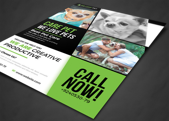 Pet Shop Flyer Template in Flyer Templates - product preview 1