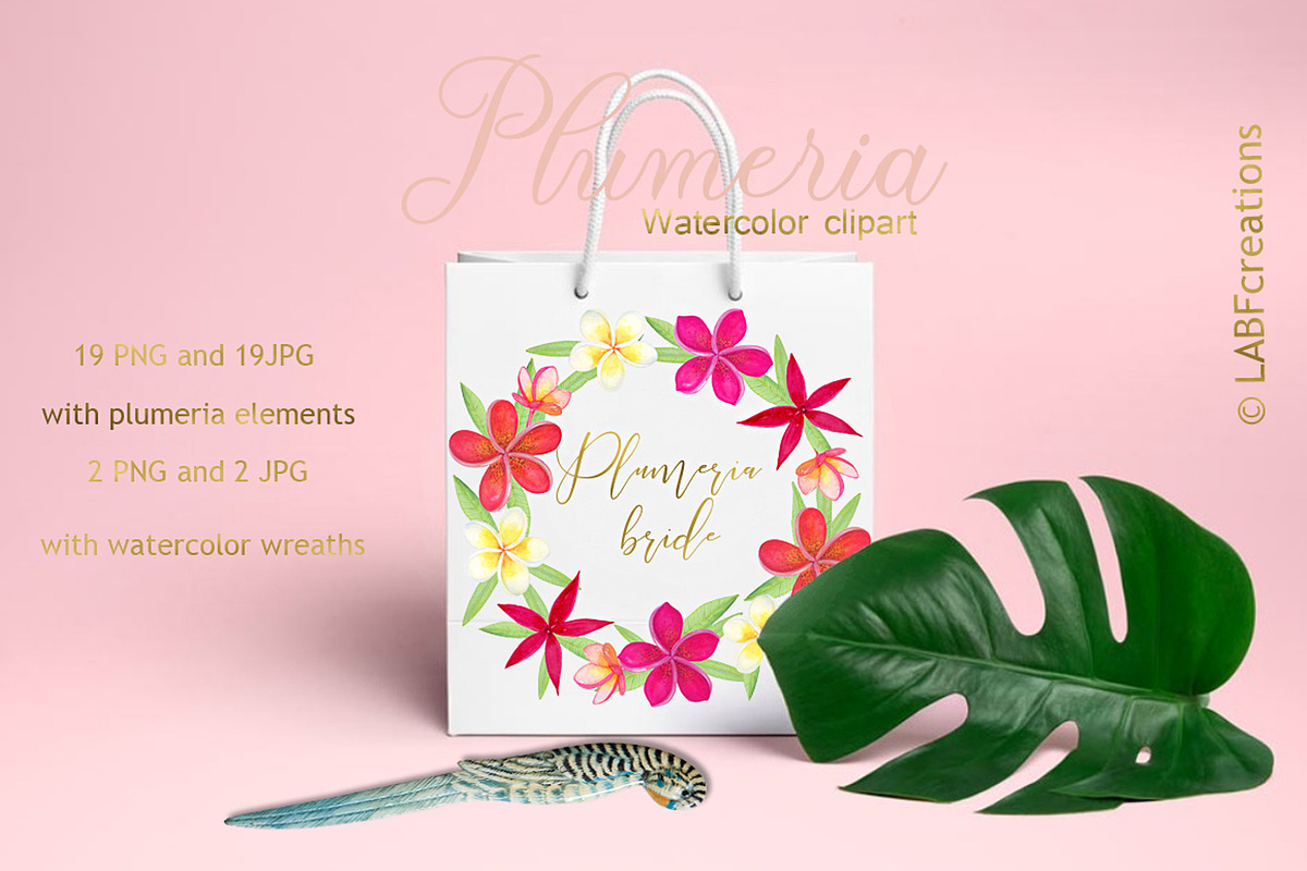 Plumeria Tropical flowers clipart in Illustrations - product preview 8