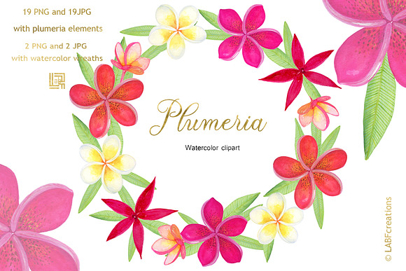 Plumeria Tropical flowers clipart in Illustrations - product preview 1