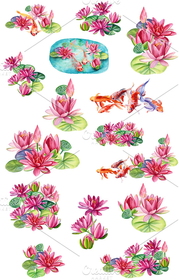 lotus and koi fish, watercolor in Japanese Icons - product preview 1