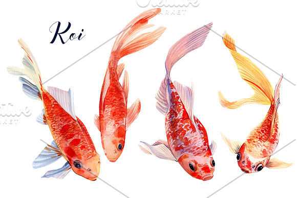 lotus and koi fish, watercolor in Japanese Icons - product preview 7