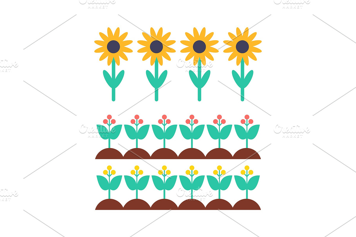 Sunflower and Berry Bush on Garden in Illustrations - product preview 8