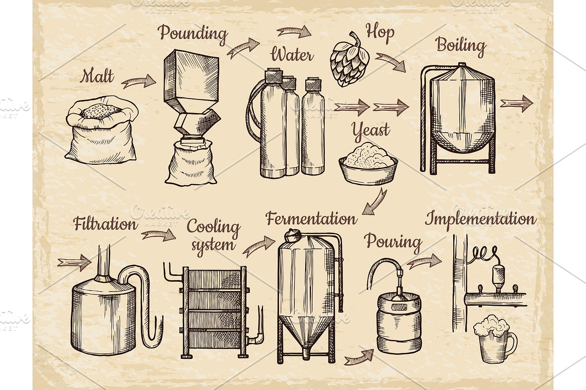 Beer production steps. Hand drawn in Graphics - product preview 8