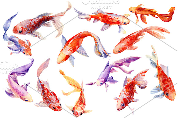 lotus and koi fish, watercolor in Japanese Icons - product preview 9