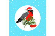 Bullfinch bird with Santa hat