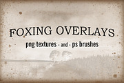 Foxing Textures and Brushes