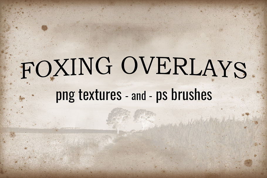 Foxing Textures and Brushes in Textures - product preview 8