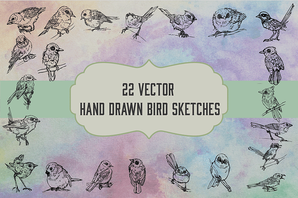 Vector Hand Drawn Bird Sketches 