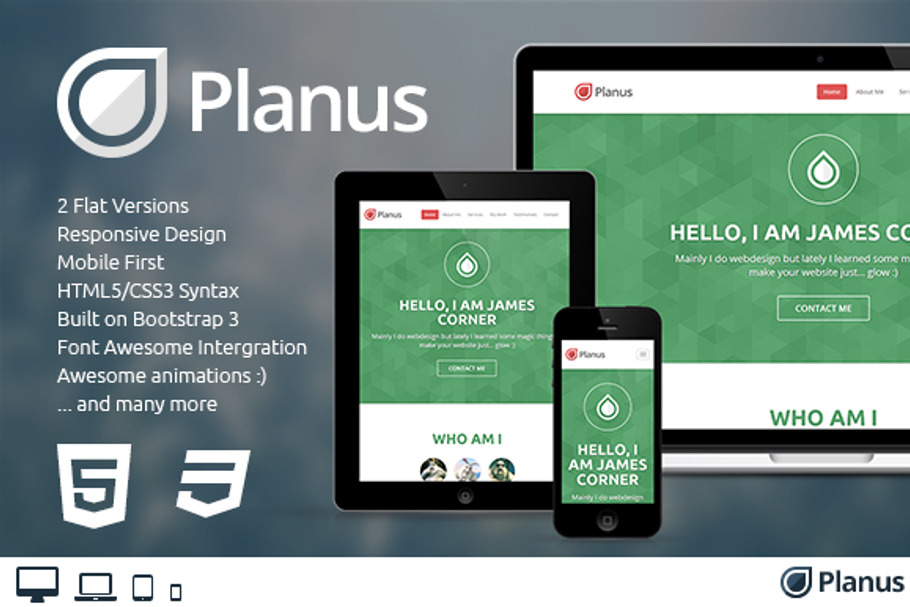 Planus - One-Page Bootstrap Theme in Bootstrap Themes - product preview 8