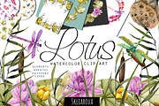 Lotus. Watercolor collection.
