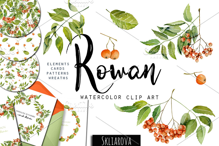 Rowan tree. Watercolor clip art. in Illustrations - product preview 8