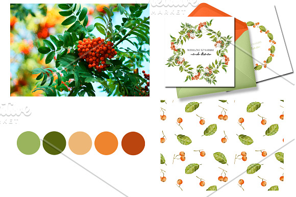 Rowan tree. Watercolor clip art. in Illustrations - product preview 5