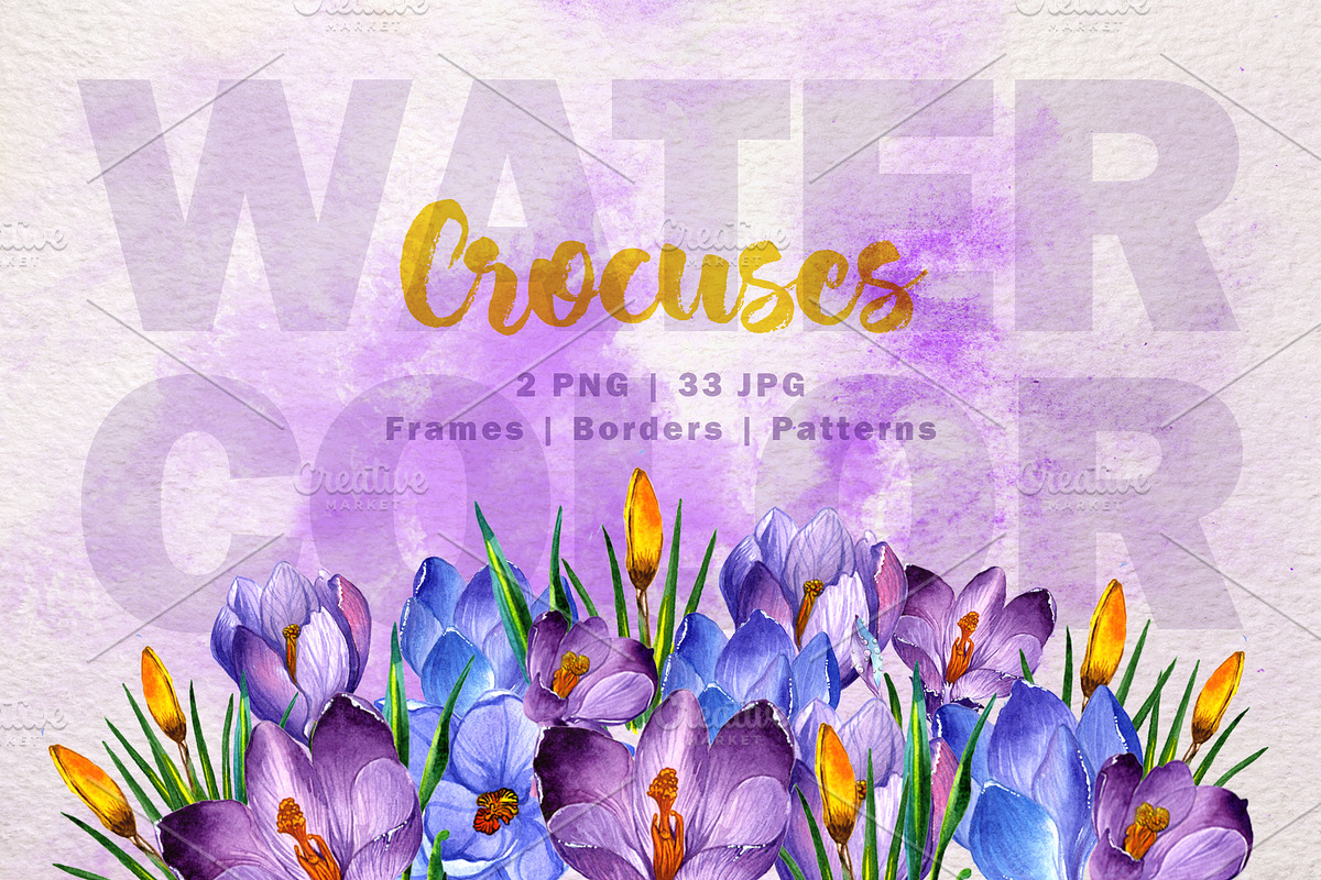 Blue and purple crocuses PNG set in Illustrations - product preview 8