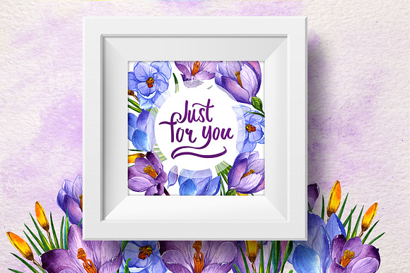 Blue and purple crocuses PNG set in Illustrations - product preview 1