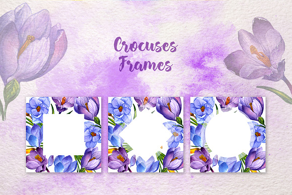 Blue and purple crocuses PNG set in Illustrations - product preview 3