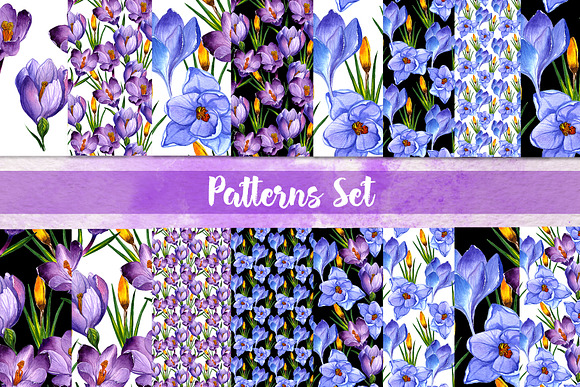 Blue and purple crocuses PNG set in Illustrations - product preview 7