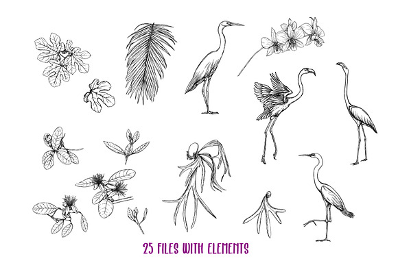 Tropical Plants and Birds Set in Objects - product preview 3