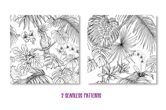 Tropical Plants and Birds Set in Objects - product preview 4