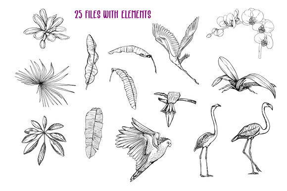 Tropical Plants and Birds Set in Objects - product preview 5