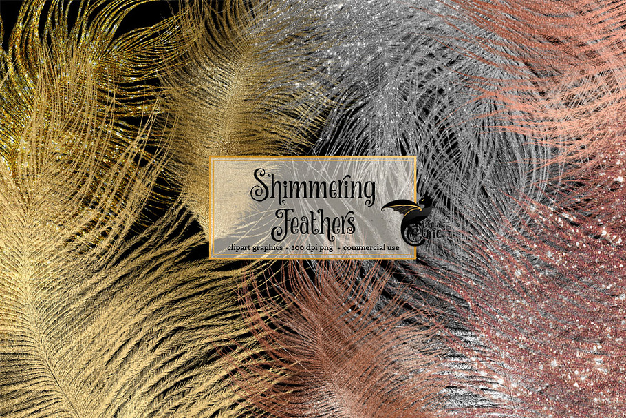 Shimmering Feathers Clipart in Objects - product preview 8