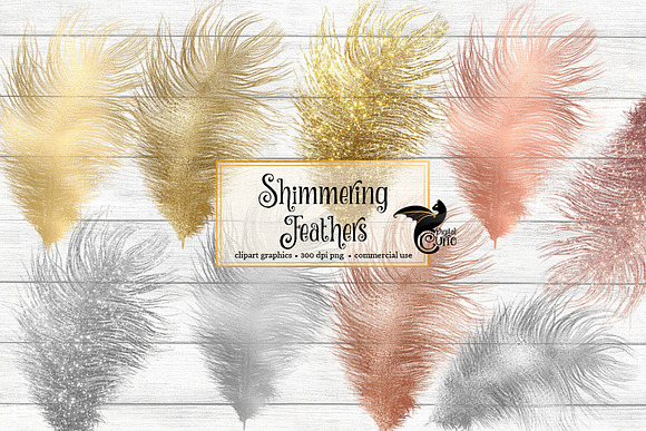 Shimmering Feathers Clipart in Objects - product preview 1