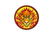 Flaming Tiger  Head Icon