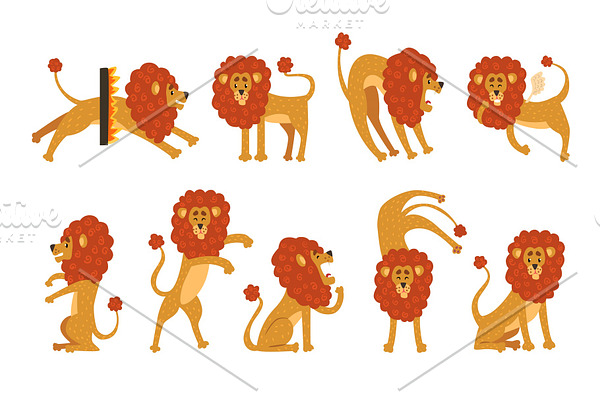 Set of funny African lion in