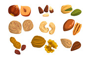 Flat vector icons of nuts and seeds