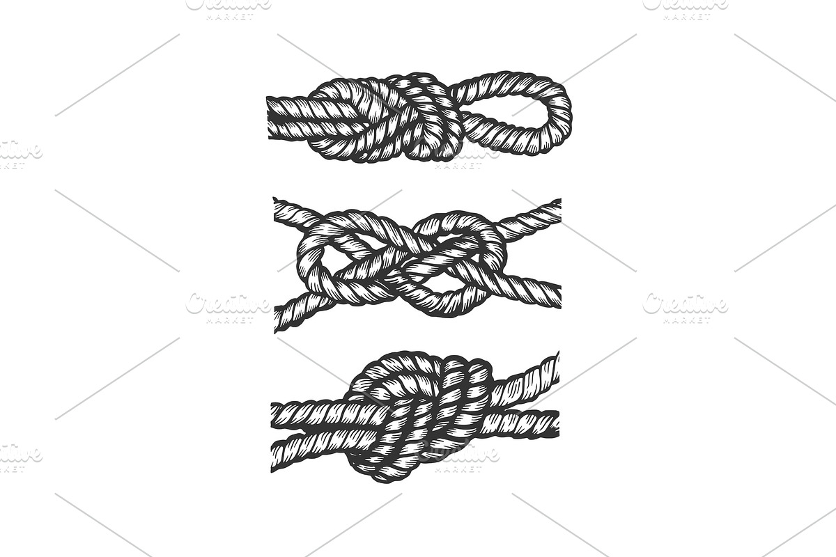 Marine knots engraving vector in Illustrations - product preview 8