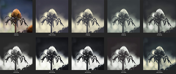 Mono Fine Art Lightroom Presets in Add-Ons - product preview 1