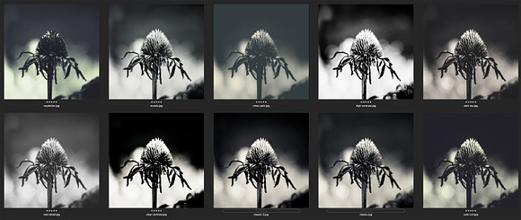 Mono Fine Art Lightroom Presets in Add-Ons - product preview 2