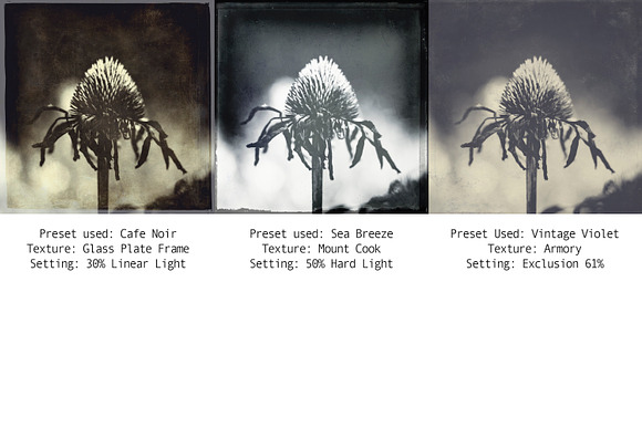 Mono Fine Art Lightroom Presets in Add-Ons - product preview 6
