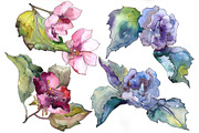Pink and blue gardenia flowers PNG