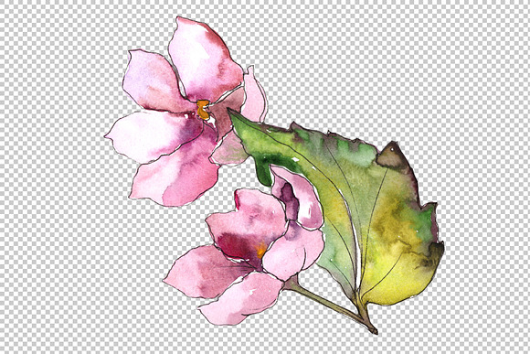 Pink and blue gardenia flowers PNG in Illustrations - product preview 1