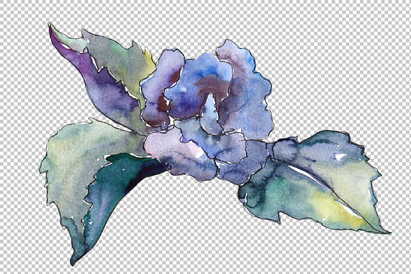 Pink and blue gardenia flowers PNG in Illustrations - product preview 3