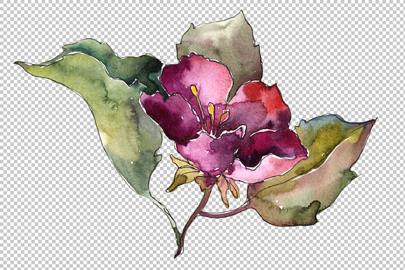 Pink and blue gardenia flowers PNG in Illustrations - product preview 4