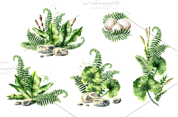 Prehistoric world. Watercolor bundle in Illustrations - product preview 5