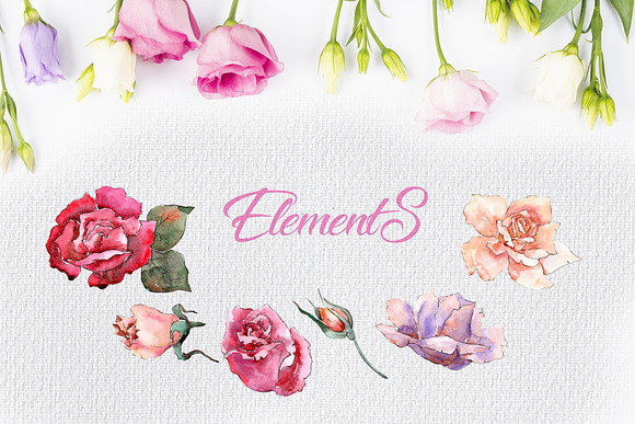 Pink and beige roses PNG watercolor  in Illustrations - product preview 2