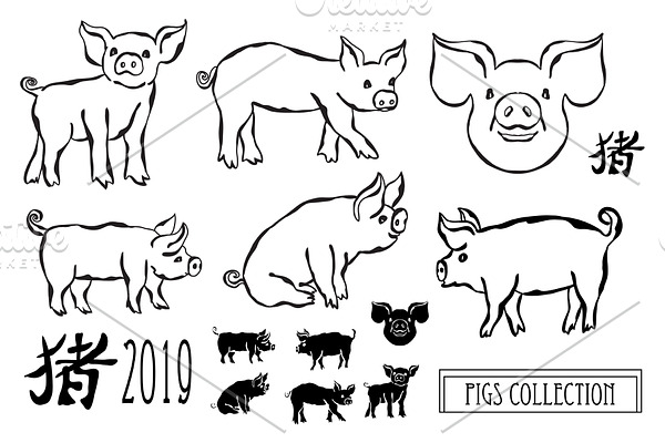 Hand Drawn Pigs and Patterns