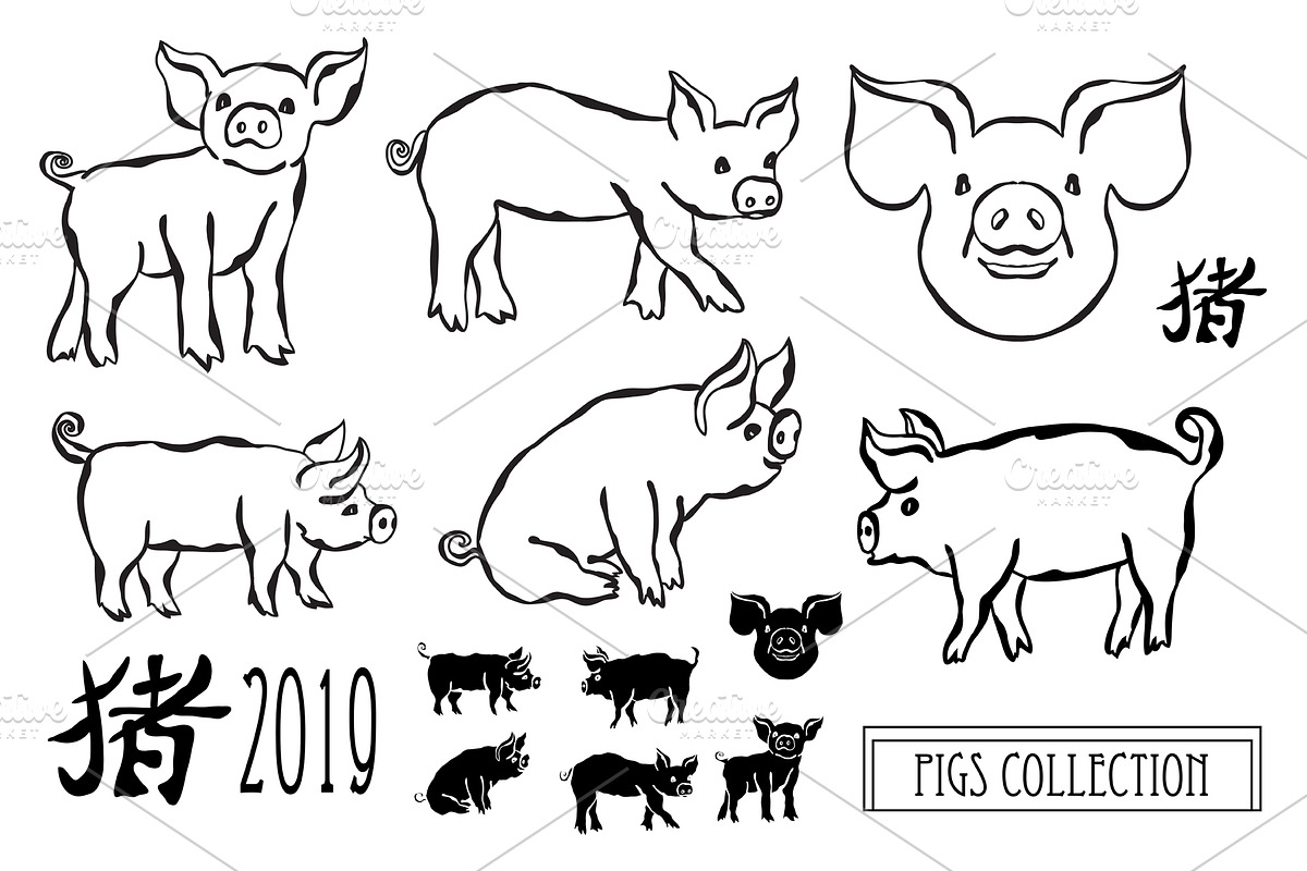 Hand Drawn Pigs and Patterns in Illustrations - product preview 8