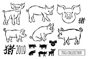Hand Drawn Pigs and Patterns