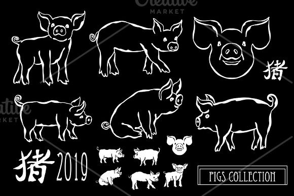Hand Drawn Pigs and Patterns in Illustrations - product preview 1