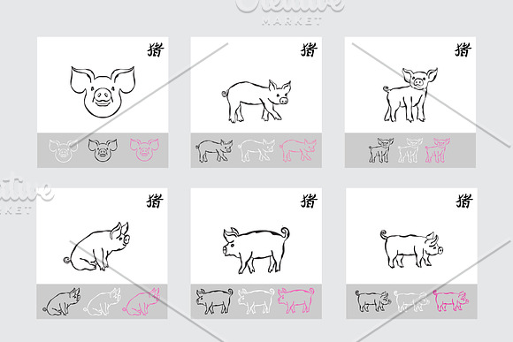 Hand Drawn Pigs and Patterns in Illustrations - product preview 2