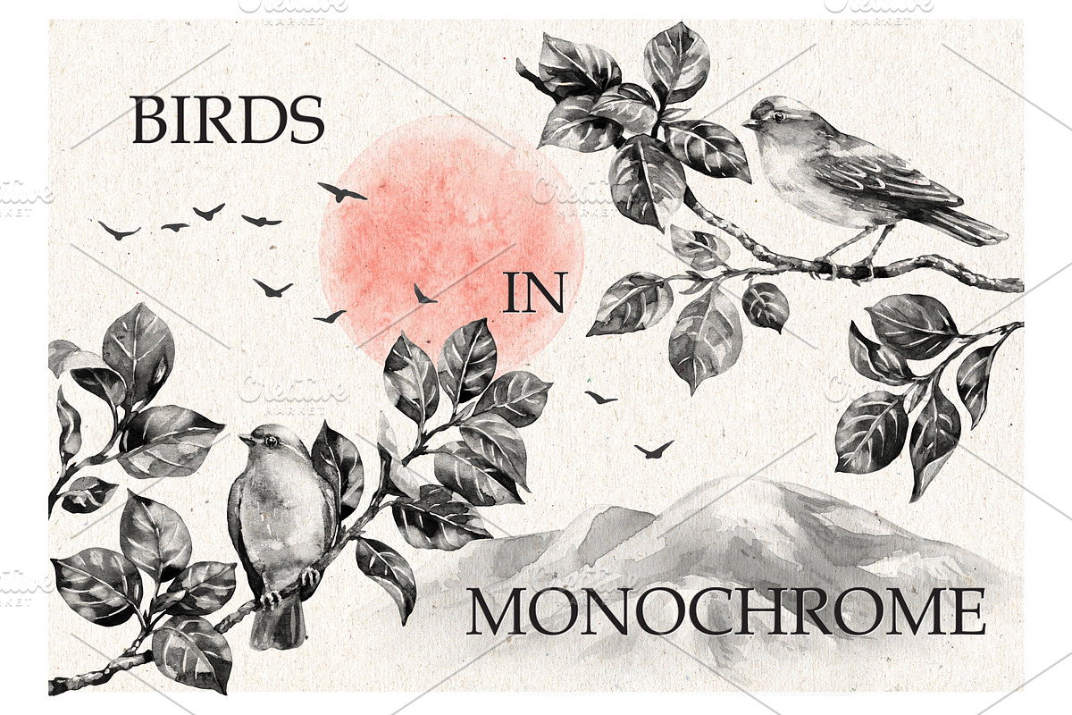 Songbirds on Branches in  Monochrome in Illustrations - product preview 8