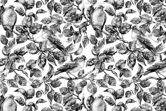 Songbirds on Branches in  Monochrome in Illustrations - product preview 1