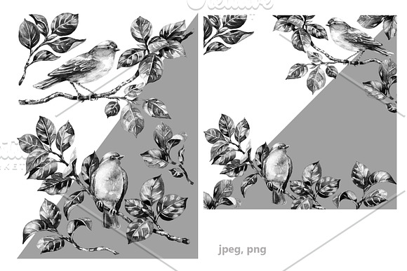 Songbirds on Branches in  Monochrome in Illustrations - product preview 2
