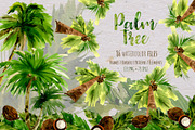 Palm tree PNG watercolor set