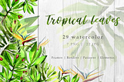 Tropical leaves PNG watercolor set