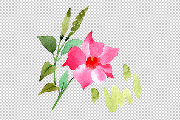 Wildflower pink dipladies PNG set in Illustrations - product preview 4