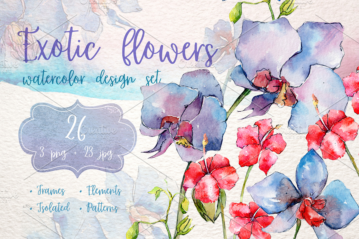 Exotic red and blue orchids PNG set in Illustrations - product preview 8